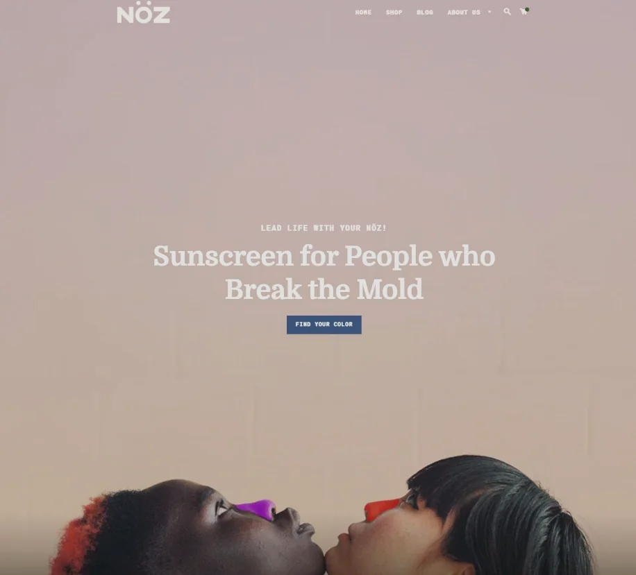 NÖZ website design